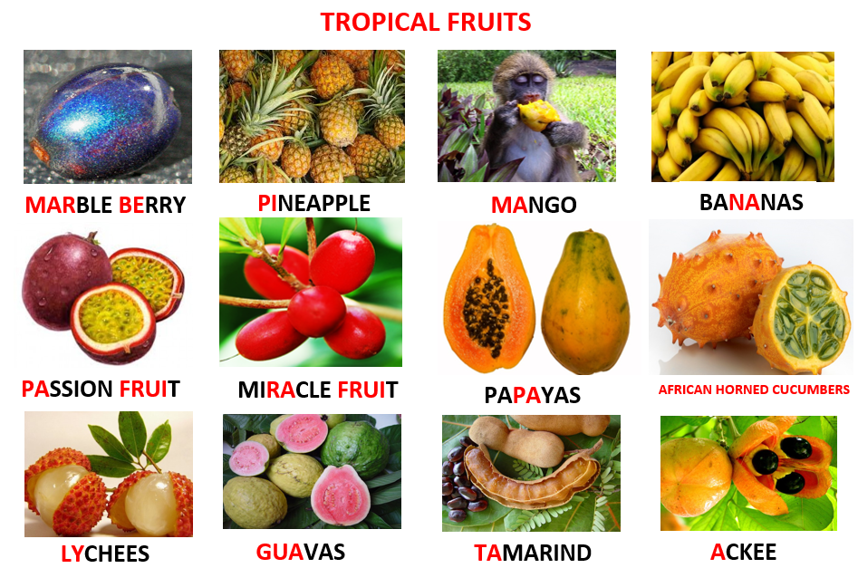 Sunday Delights: Tropical Fruit Salad - Learn English With Africa