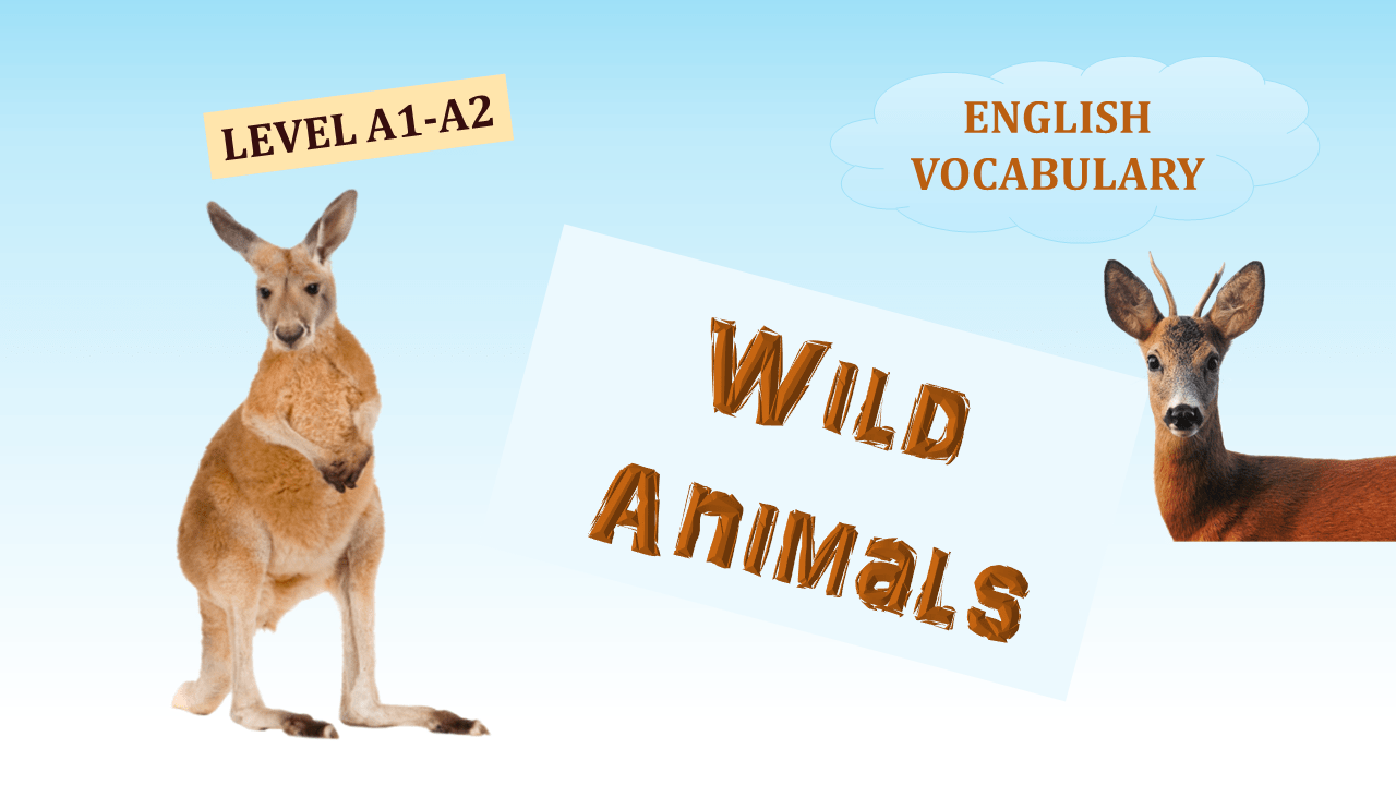 English Nature Vocabulary (Lesson 3): Describe Wild Animals - Learn English  With Africa
