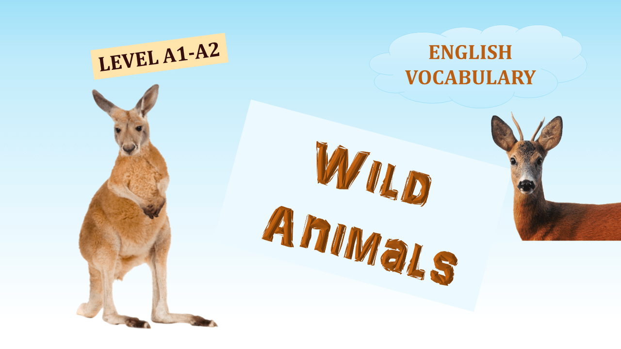 English Nature Vocabulary (Lesson 3): Describe Wild Animals